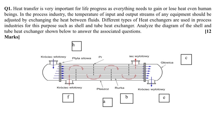 Solved b) Part (i) in the above diagram plays an important | Chegg.com