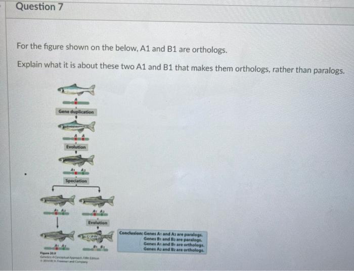 Solved Question 5 2 pts Below are sequences from 8 different | Chegg.com