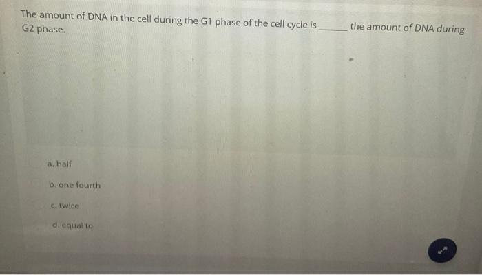 Solved The amount of DNA in the cell during the G1 phase of | Chegg.com