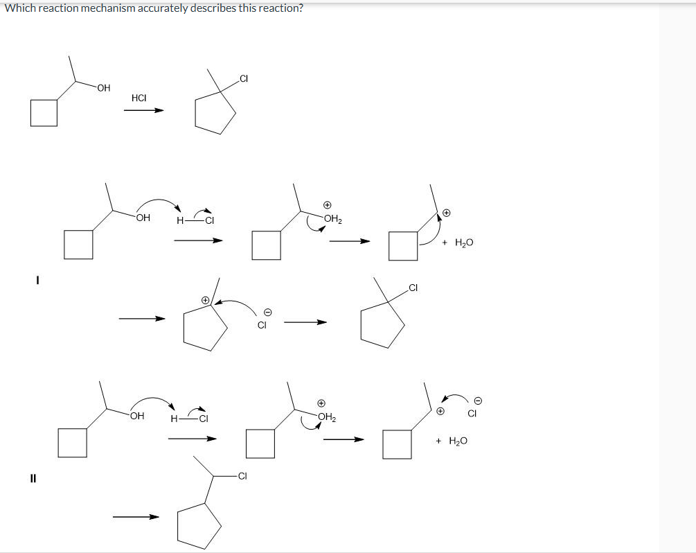 Which Reaction Solved Which reaction mechanism accurately describes this | Chegg.com