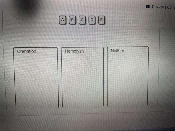 Solved A red blood cell is placed into each of the following | Chegg.com
