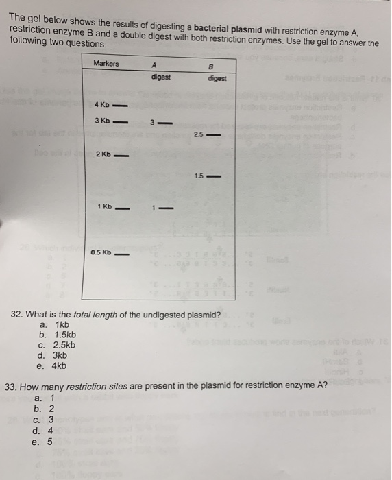 Solved The gel below shows the results of digesting a | Chegg.com