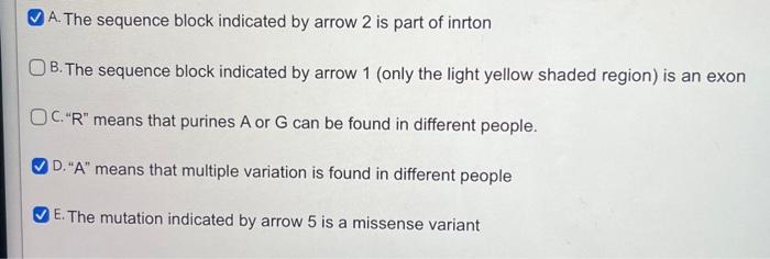 A. The sequence block indicated by arrow 2 is part of | Chegg.com