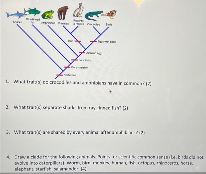 Solved 1. What trait(s) do crocodiles and amphibians have in | Chegg.com