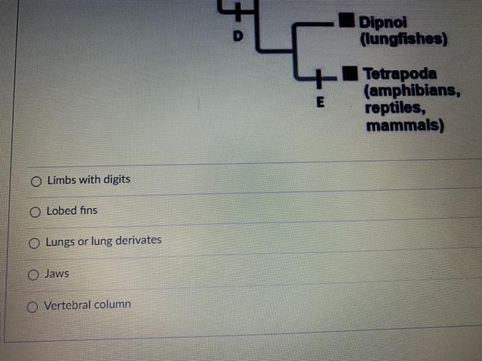 Solved Which of the following is NOT a benefit of the | Chegg.com