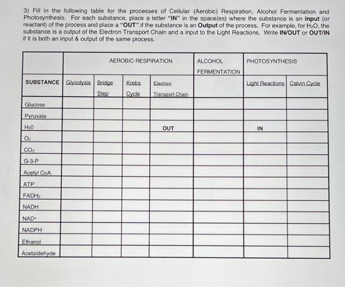 3) Fill in the following table for the processes of Cellular (Aerobic) Respiration, Alcohol Fermentation and Photosynthesis. 