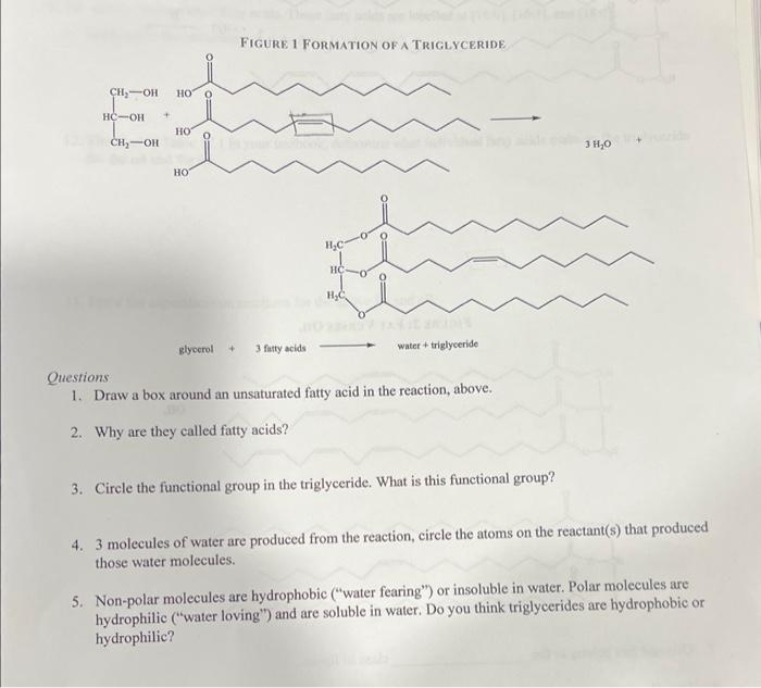 Solved FIGURE 1 FORMATION OF A TrIGLYCERIDE glycerol +3