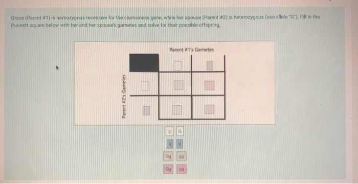 Solved Grace (Parent #1) is homozygous recessive for the | Chegg.com