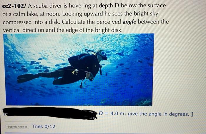 Solved cc2-102/ A scuba diver is hovering at depth D below | Chegg.com