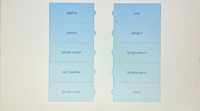 Solved help matching these terms!! | Chegg.com