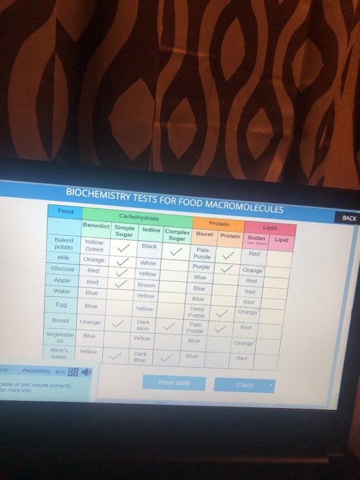 0699 Biochemistry Tests For Food Macromolecules Food Chegg 