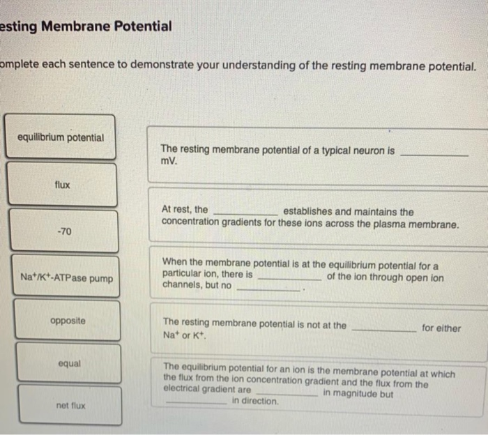Solved esting Membrane Potential omplete each sentence to