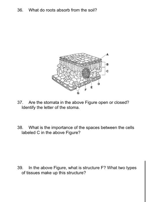 [Solved] hey pls answer all its all under one question tn