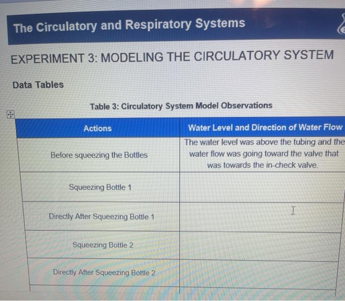 experiment 3 modeling the circulatory system