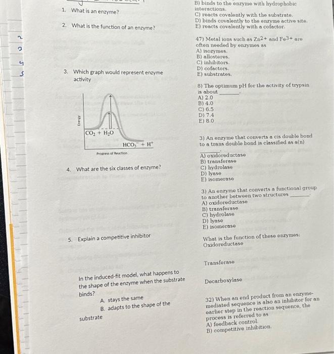 Solved Amino Acids and proteins 1. What is the name of this