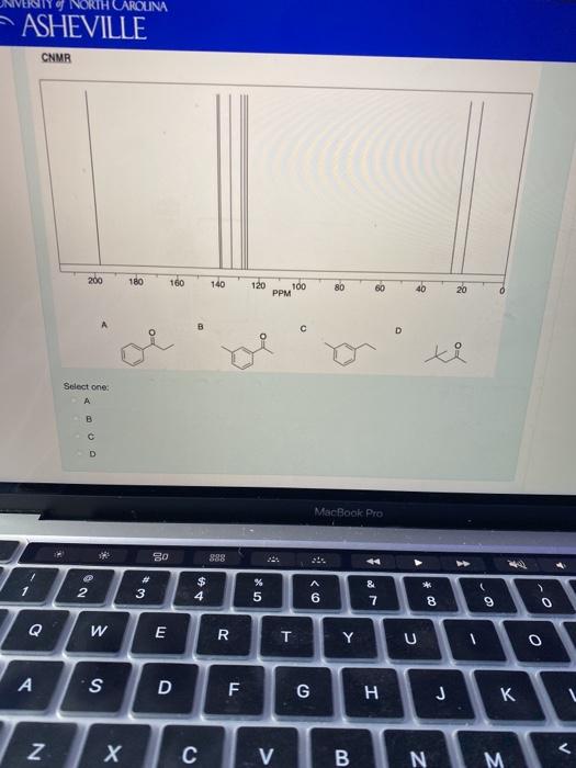 Solved Select the molecule that best corresponds to the | Chegg.com