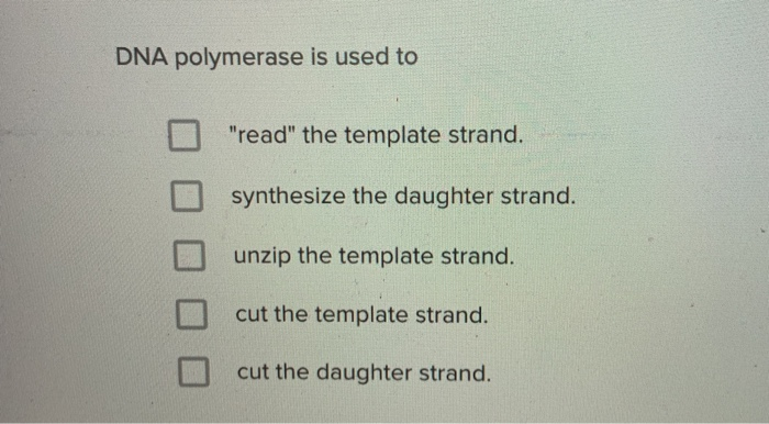 Solved DNA polymerase is used to o read the template Chegg com Solved DNA polymerase is used to o read the template Chegg com