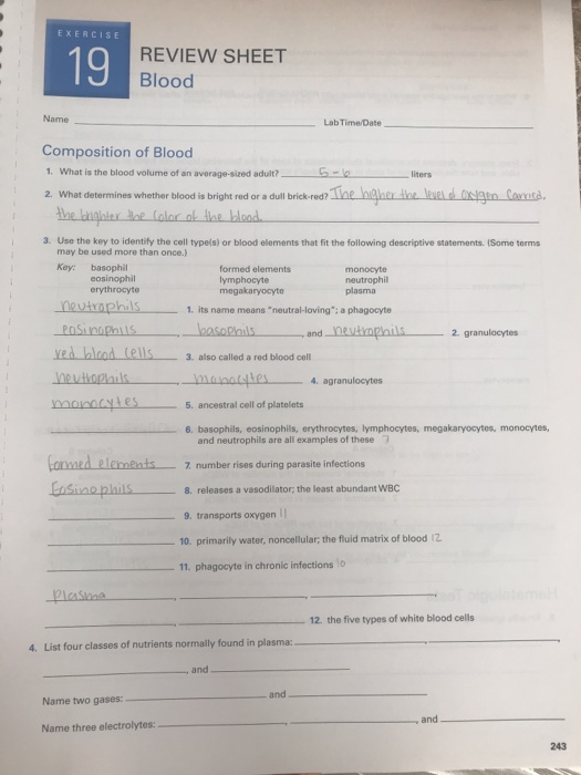 Exercise 19 Review Sheet Blood Name Lab Time Date Chegg 