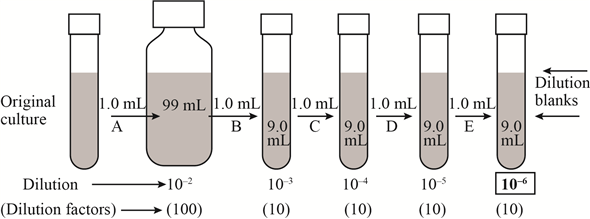 serial vs parallel dilution method microbiology