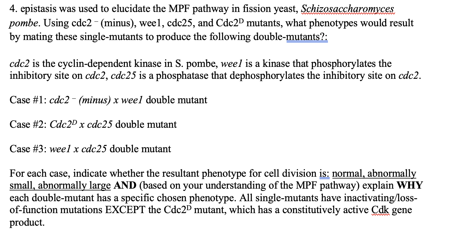 epistasis was used to elucidate the MPF pathway in | Chegg.com