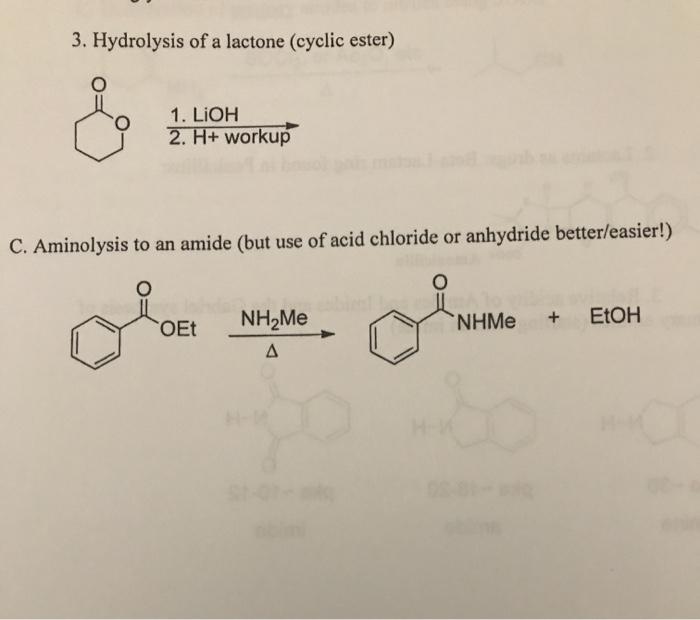 cyclic amide hydrolysis