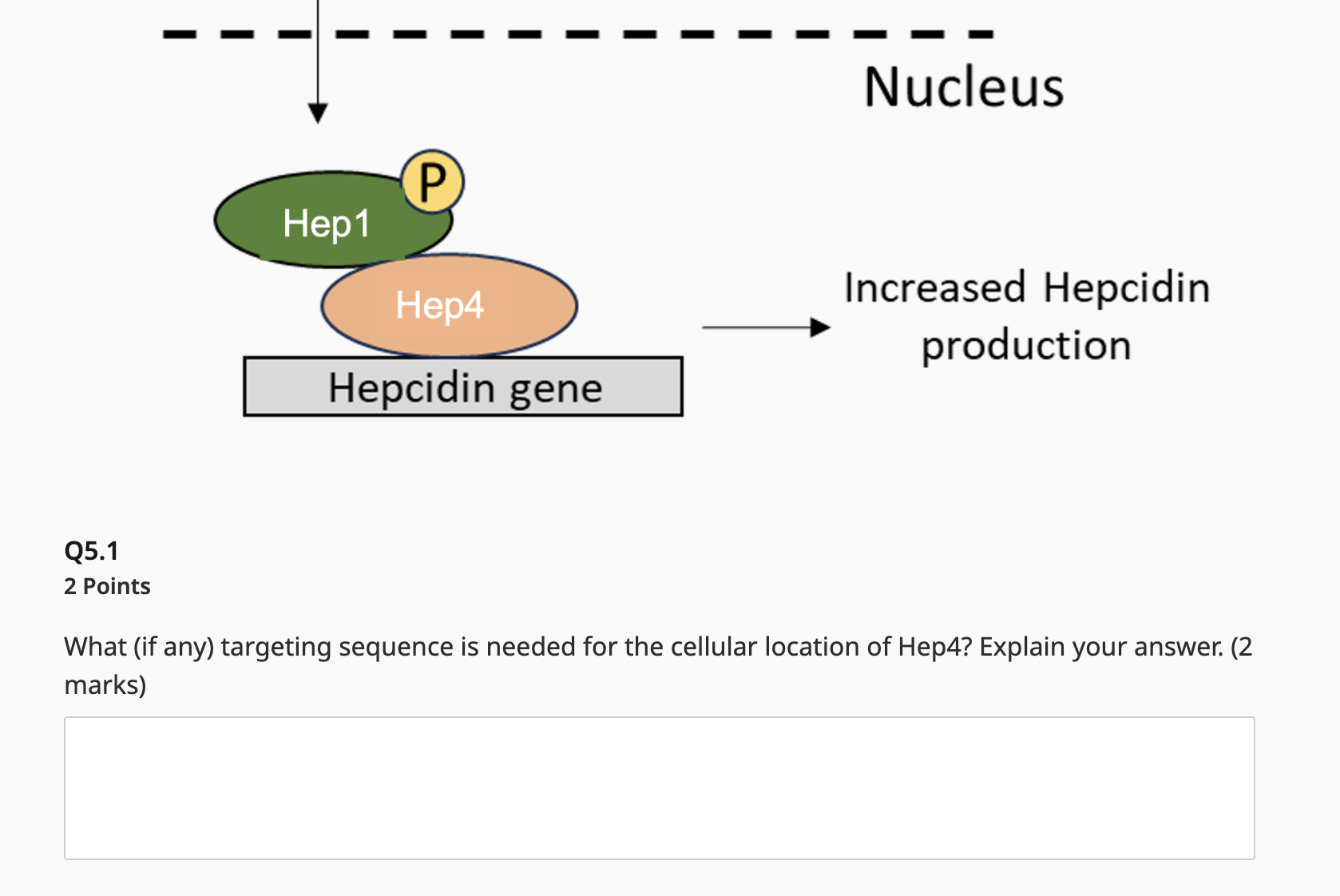 Target Sequence Science Solved Q5.12 PointsWhat (if any) targeting sequence is | Chegg.com