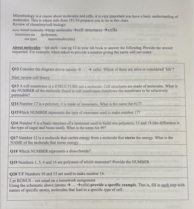 Solved Microbiology is a course about molecules and cells, | Chegg.com