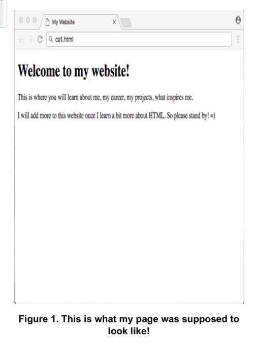 Solved Earlier today I built my first website using HTML 5. | Chegg.com
