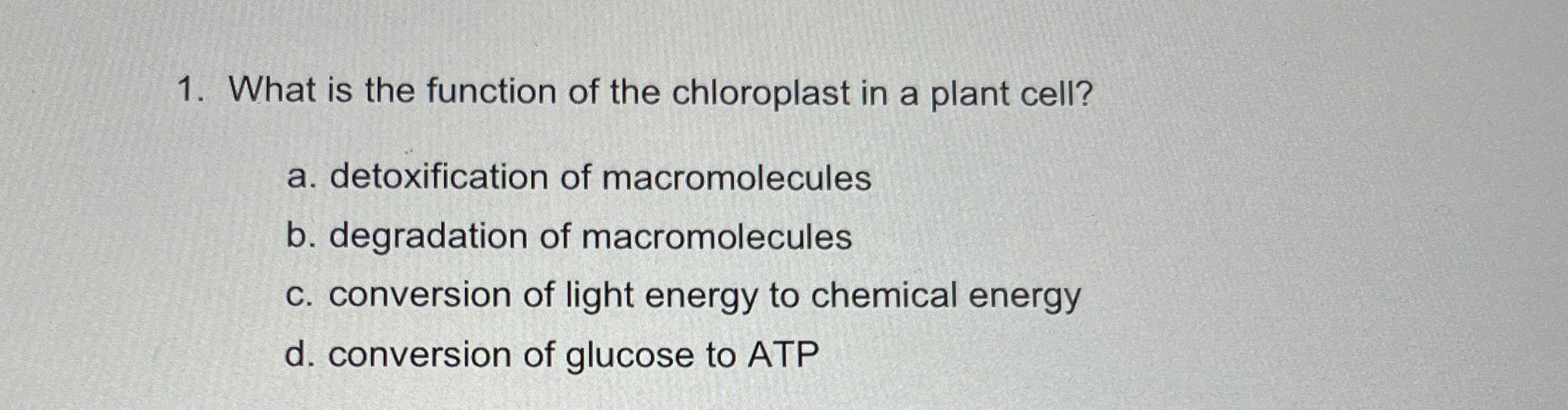 Solved What is the function of the chloroplast in a plant | Chegg.com