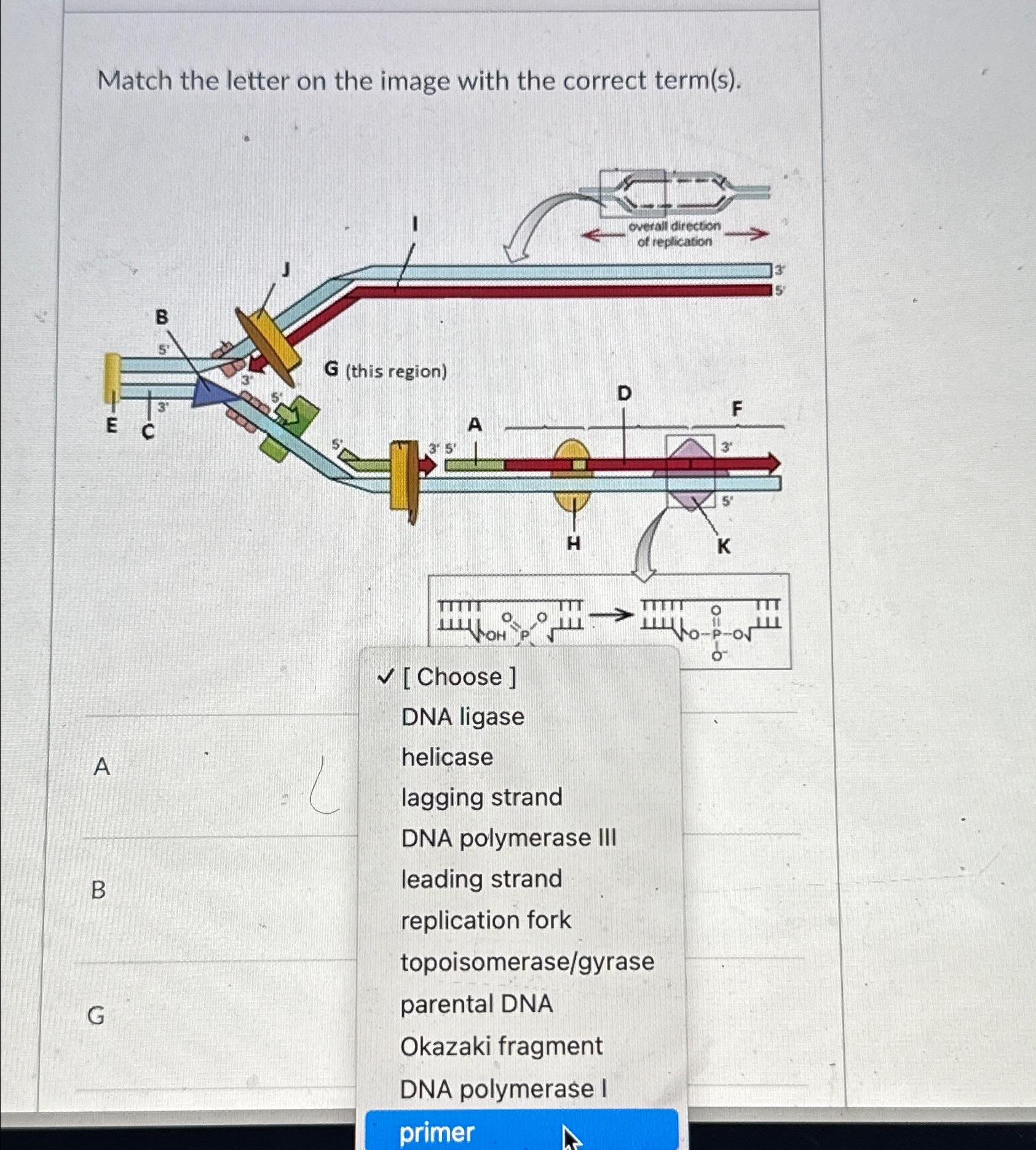 Solved Match the letter on the image with the correct | Chegg.com