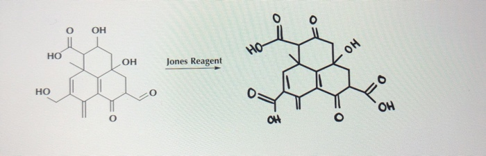 Solved НО НО- но НО ОН Jones Reagent НО он OH | Chegg.com