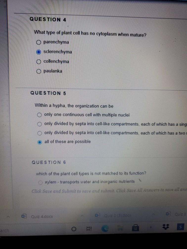 Solved QUESTION 4 What type of plant cell has no cytoplasm