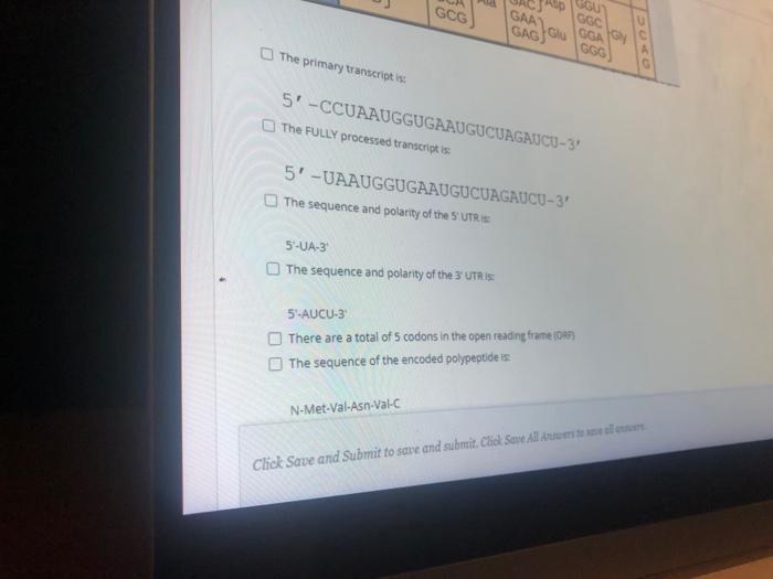 Solved The following represents the sequence of the two | Chegg.com