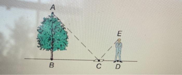 Solved One method of determining height of an object usese a | Chegg.com