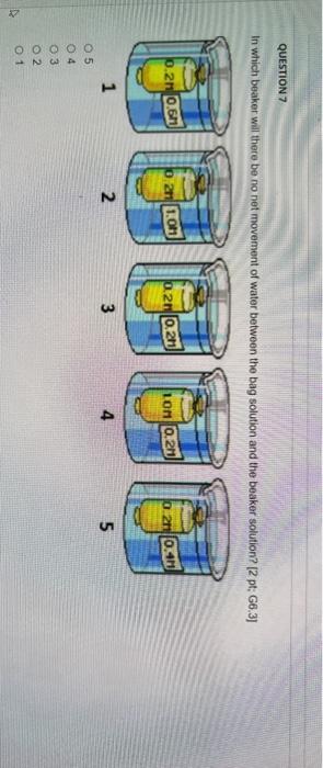 Solved In which beaker will there be no net movement of | Chegg.com