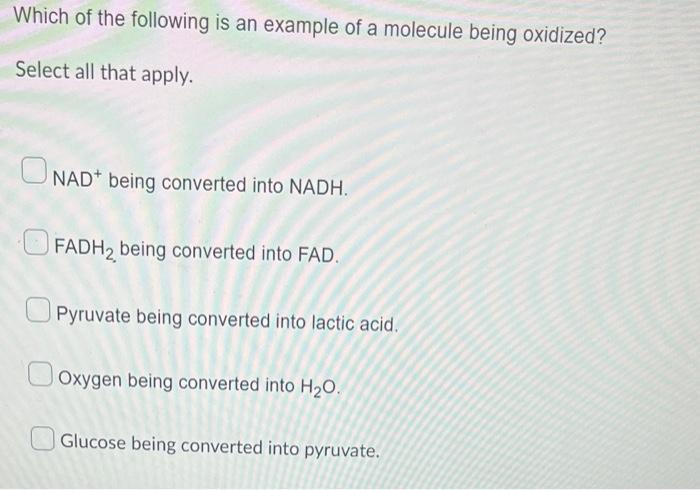 Which of the following is an example of a molecule being oxidized?
Select all that apply.
\( \mathrm{NAD}^{+} \)being convert