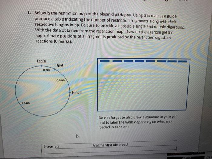 Solved 1. Below is the restriction map of the plasmid | Chegg.com
