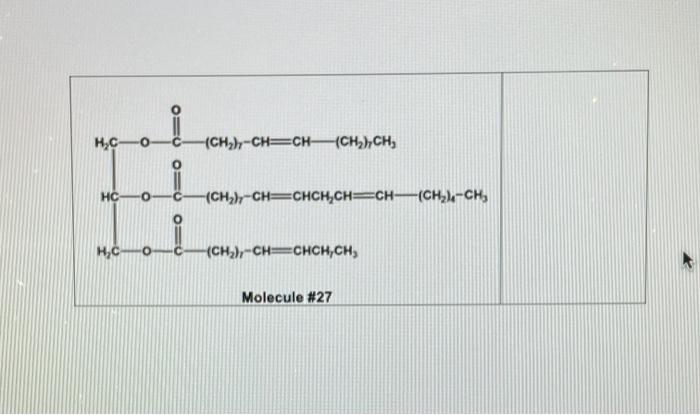 Solved 2. Identify the major function or characteristic of | Chegg.com