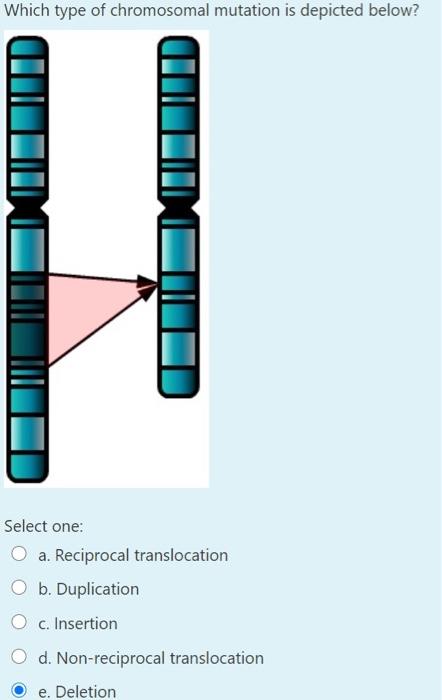 Solved Which type of mutation is shown below? Select one: O | Chegg.com