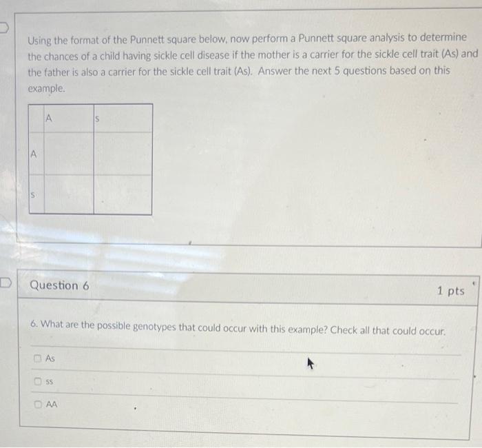 Solved Using the format of the Punnett square below, now | Chegg.com