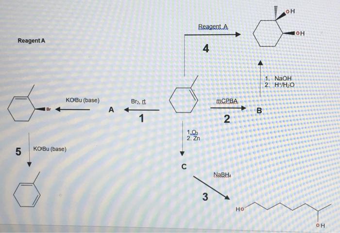 Solved Instructions to Candidates: 1. Give the structures of | Chegg.com