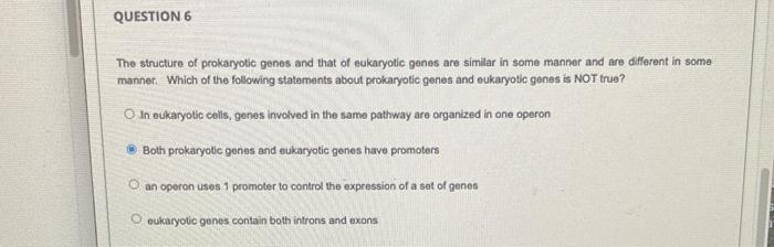Solved QUESTION 6 The structure of prokaryotic genes and | Chegg.com