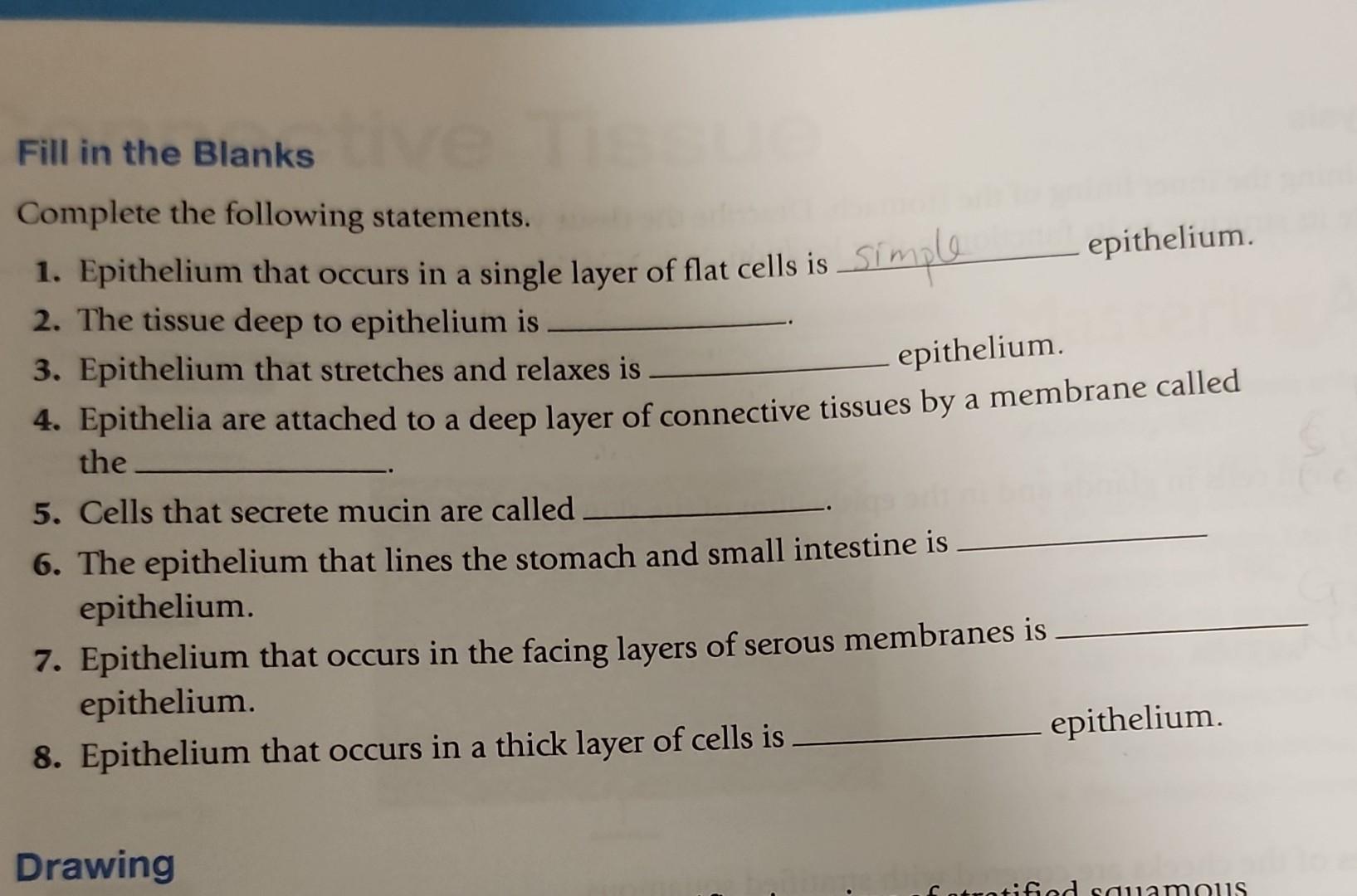 Solved Fill in the Blanks Complete the following statements. | Chegg.com