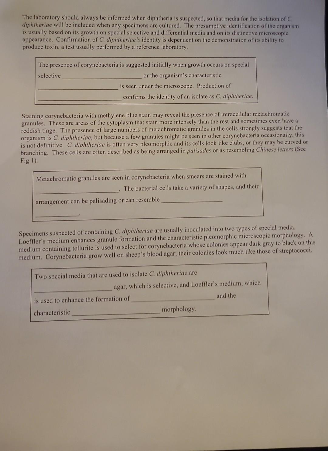 Solved please help me with this study guide | Chegg.com