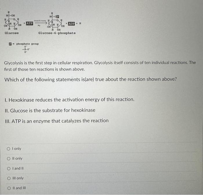 Solved Glycolysis is the first step in cellular respiration. | Chegg.com