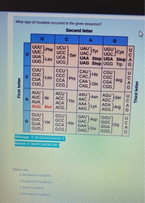 Solved What type of mutation occurred in the given sequence? | Chegg.com