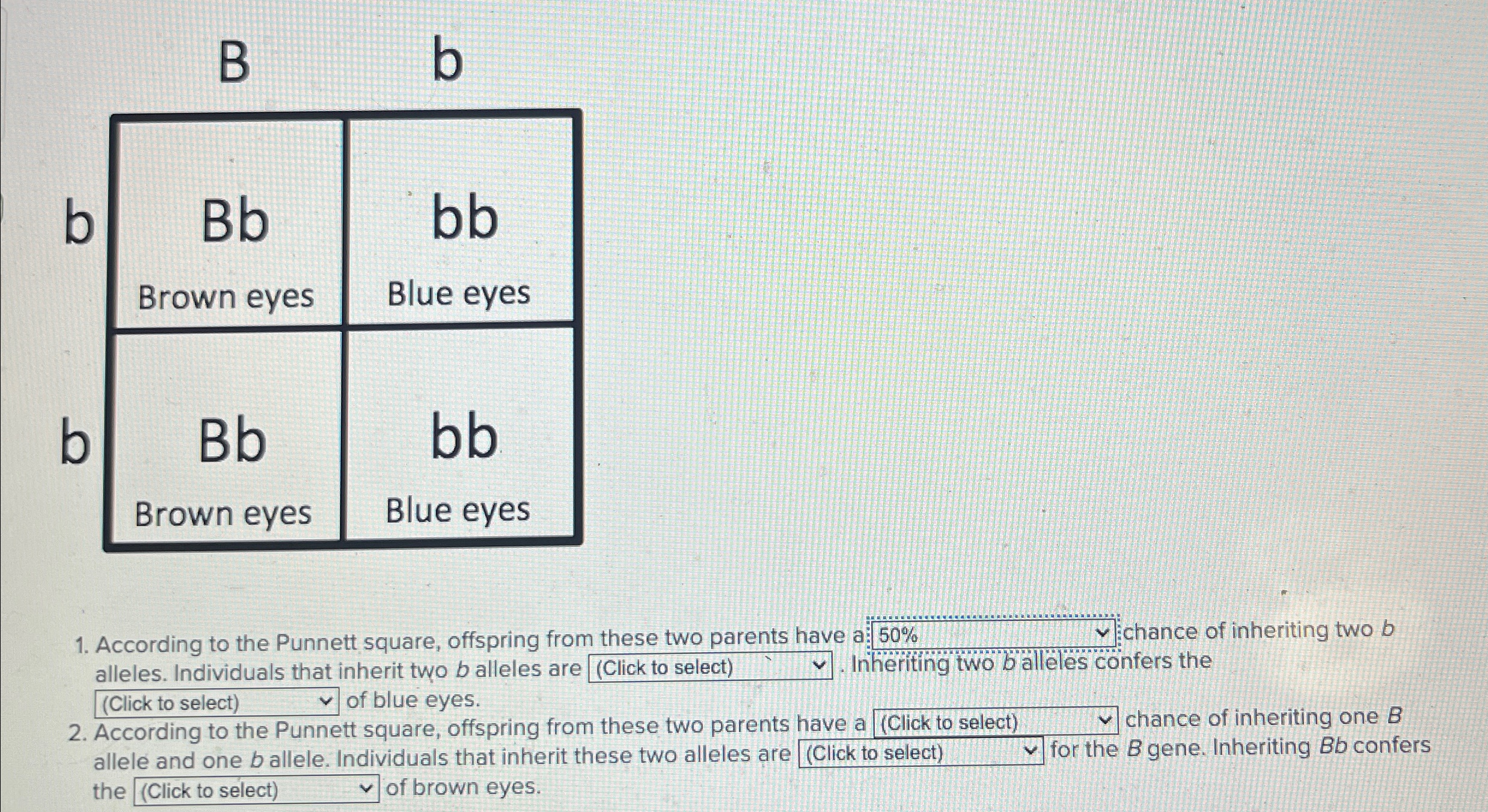 Solved According To The Punnett Square, Offspring From These | Chegg.com