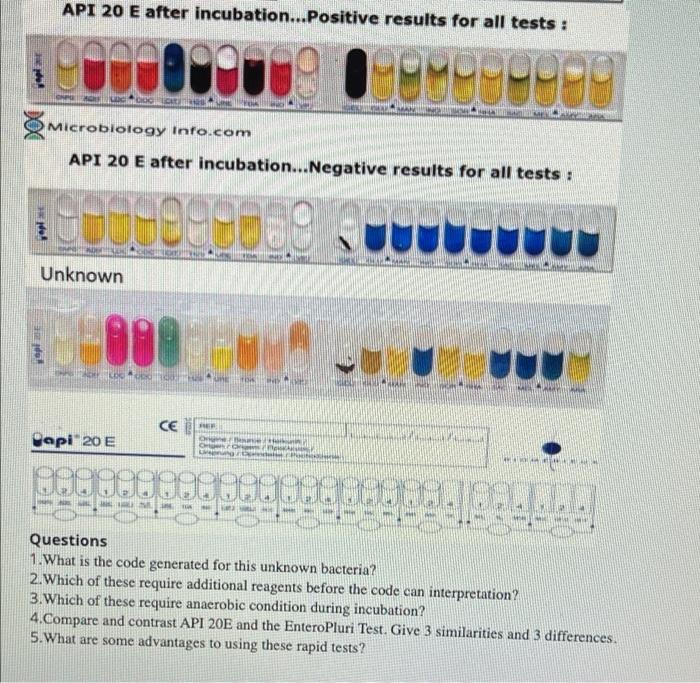 Solved Use the tables and the API 20E to answer the | Chegg.com