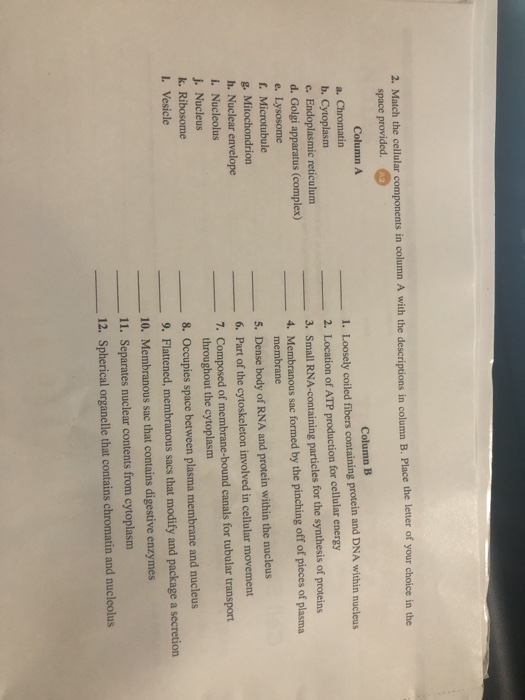 Solved 2. Match The Cellular Components In Column A With The | Chegg.com