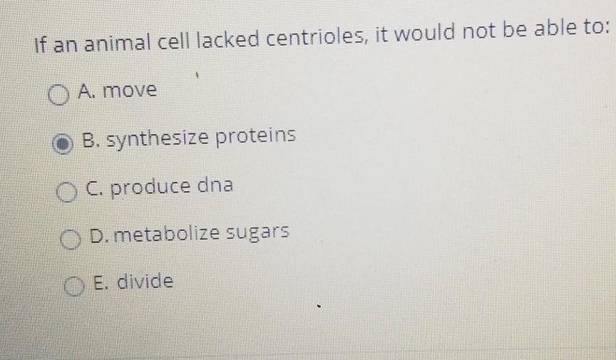 Solved If an animal cell lacked centrioles, it would not be | Chegg.com